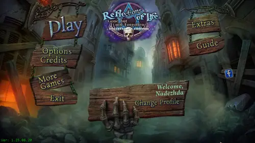 Скачать игру Reflections of Life 14: Gone But Not Forgotten